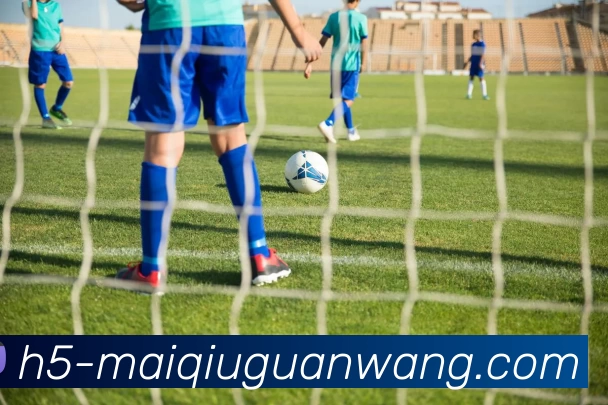 买球官网平台生态图