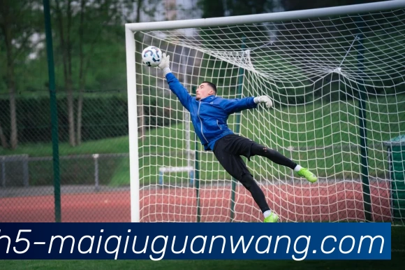 买球官网全站App